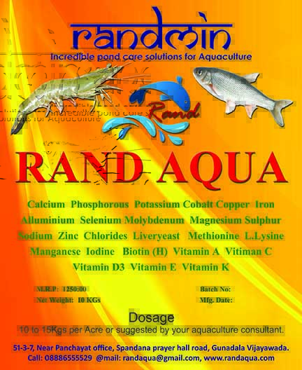 Randmin Rand aqua minerals